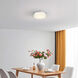 Sunspot LED 12 inch Brushed Stainless Steel Flush Mount Ceiling Light